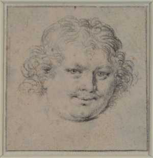 head-of-a-man-with-loose-hair-and-mustache