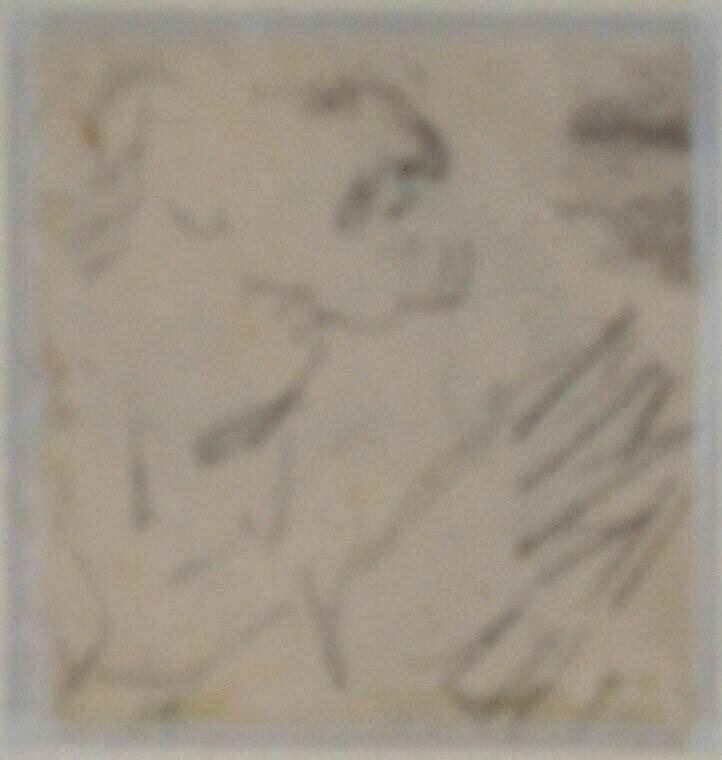 Study of a head in profile