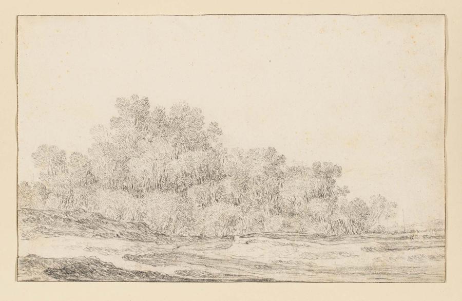 Flat Landscape with a Dense Group of Trees on the Right