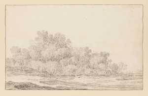 flat-landscape-with-a-dense-group-of-trees-on-the-right
