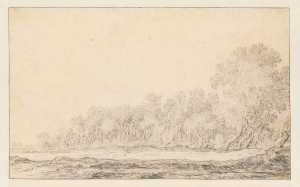 flat-landscape-with-the-fringe-of-a-wood