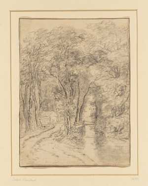 forest-view-with-creek-and-bridge