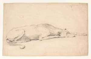 lying-greyhound-facing-right