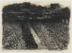 landscape-plowed-land