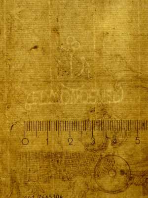 TMSFoto/PK/Heemskerck 2 (PK)_2.jpg