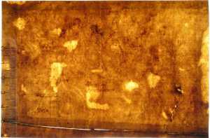 TMSFoto/PK/I 105 (PK)_1.jpg