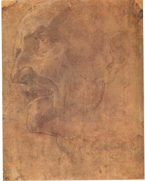 head-of-a-man-looking-up