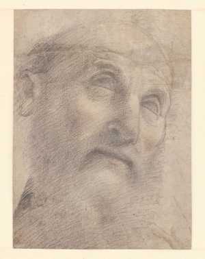 study-for-the-head-of-st-simeon