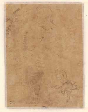 studies-of-a-man-s-head-a-chicken-and-an-ornament