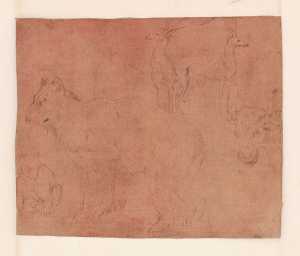 studies-of-animals-a-bear-and-its-cub-two-deer-and-the-head-of-an-ox