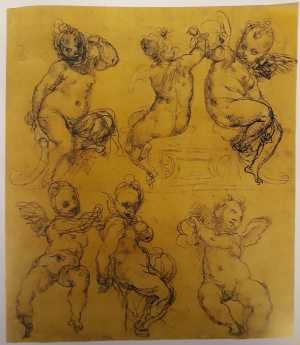 six-studies-of-putti-in-various-poses