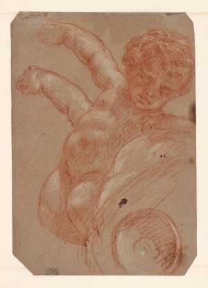Studie voor een putto