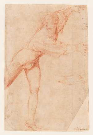 study-of-a-young-man-moving-to-the-right-for-the-cruxifiction-in-cremona-cathedral