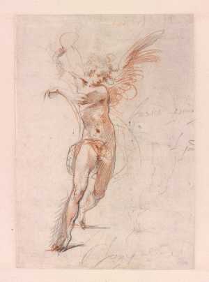 Study of an Angel