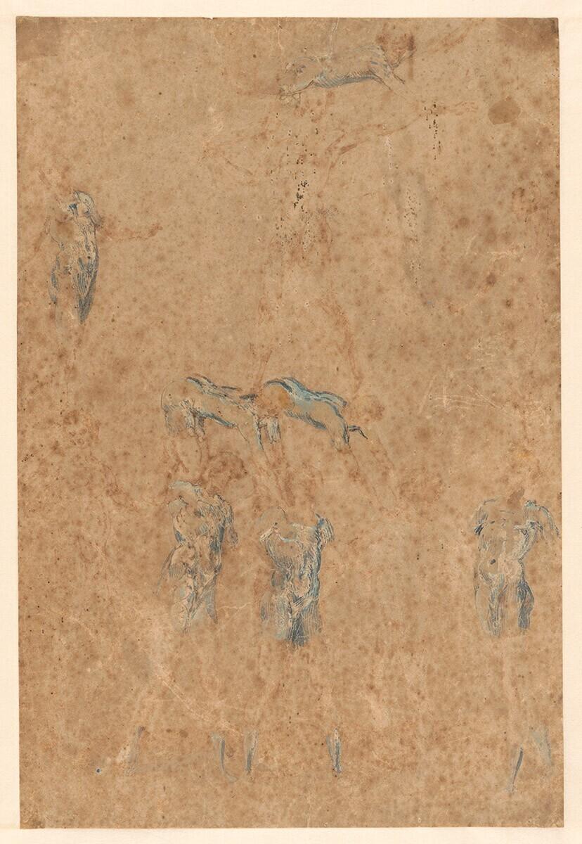 Group of Eleven Acrobats