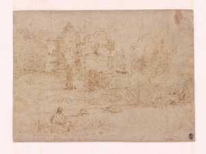 landschap-met-eenden