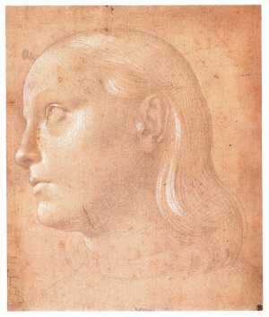 study-of-the-head-of-a-young-man