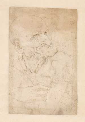 caricature-of-an-old-man-s-head