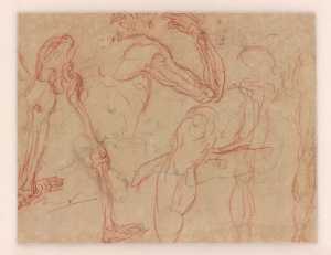 Head of a Woman and Four Anatomical Studies