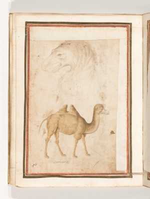folio-from-the-gozzoli-album-eagle-s-head-and-a-camel-both-in-profile