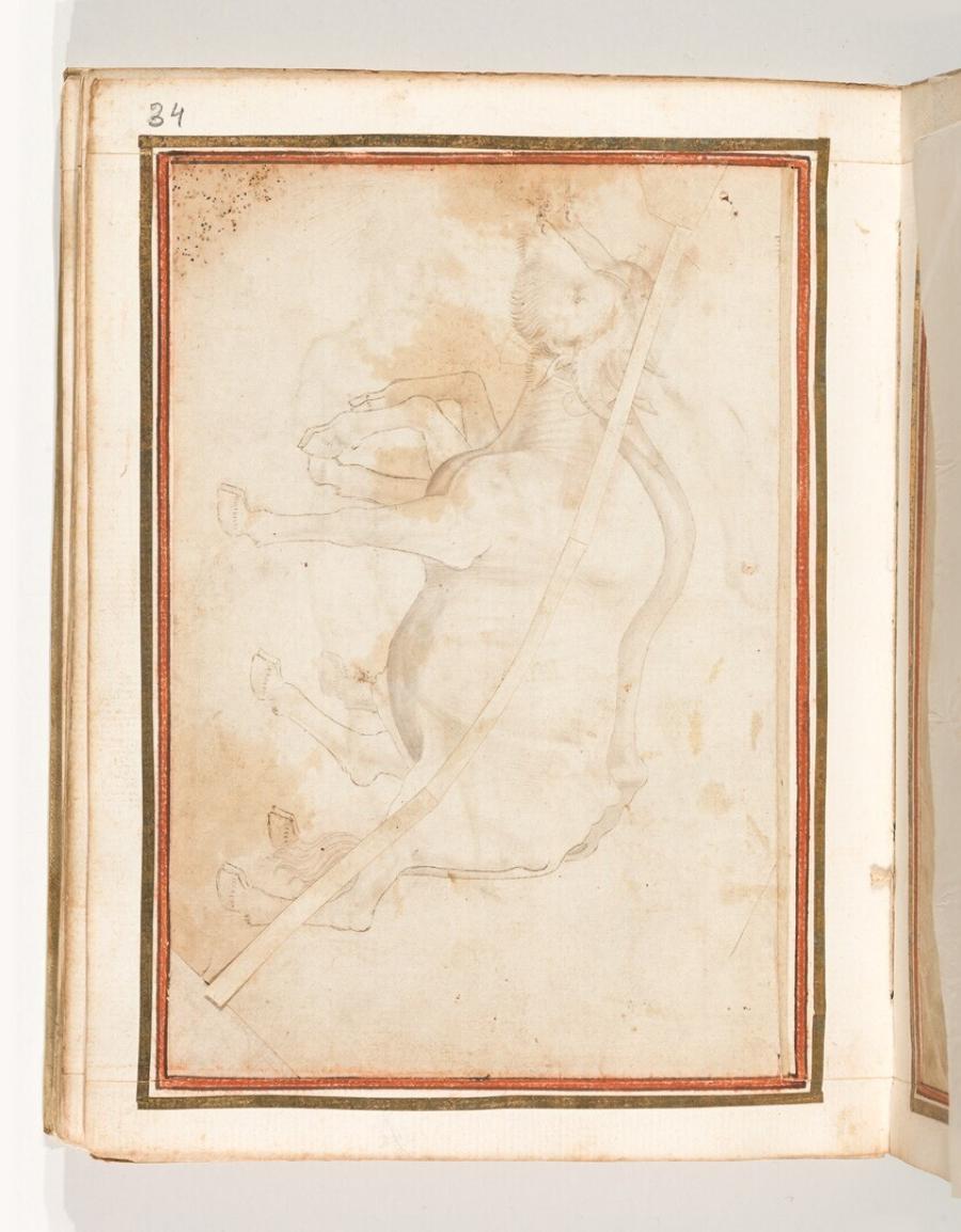 Folio from the Gozzoli Album: Two Water Buffaloes with Yoke