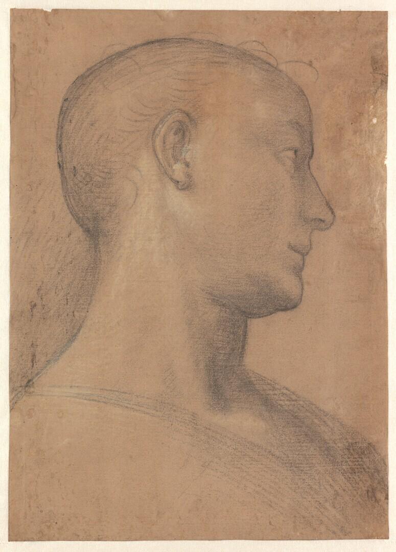 Vermeend portret van Fra Niccolò della Magna