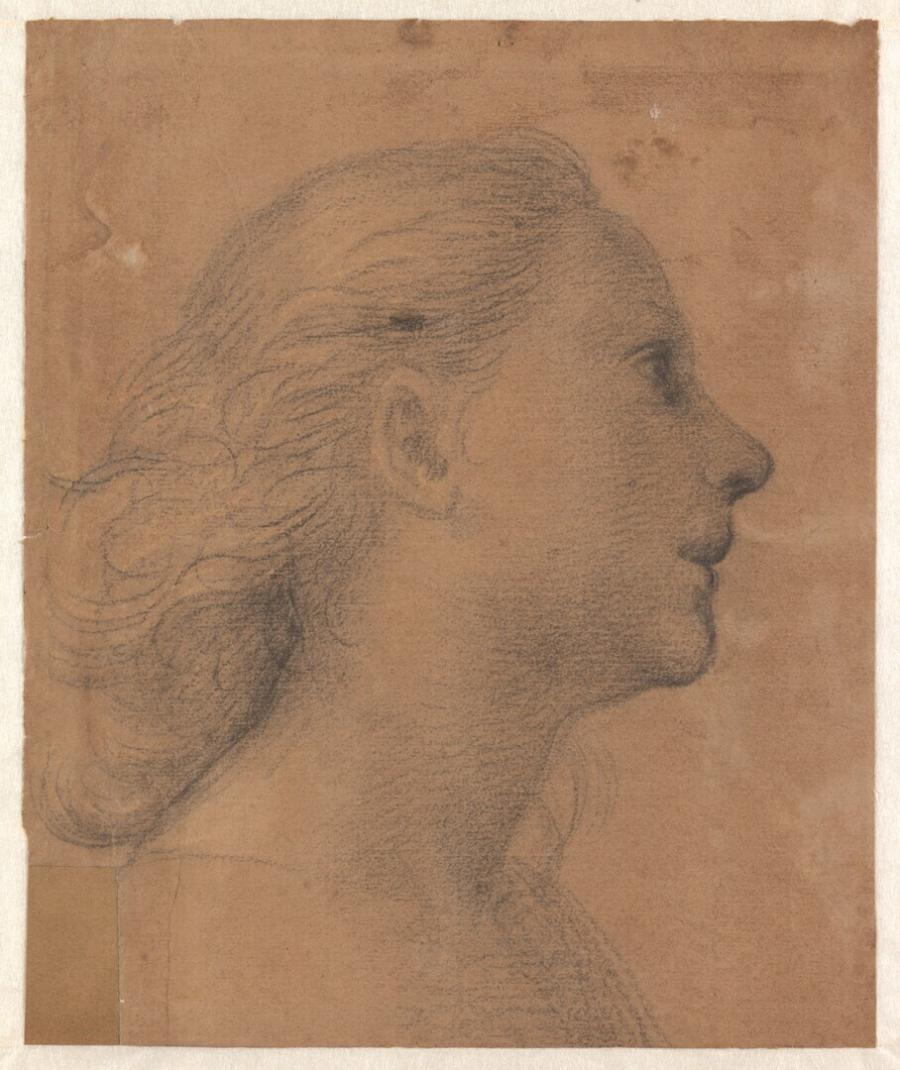 Studie voor het gezicht van de vliegende engel in het altaarstuk 'Het Visoen van St. Bernardus'