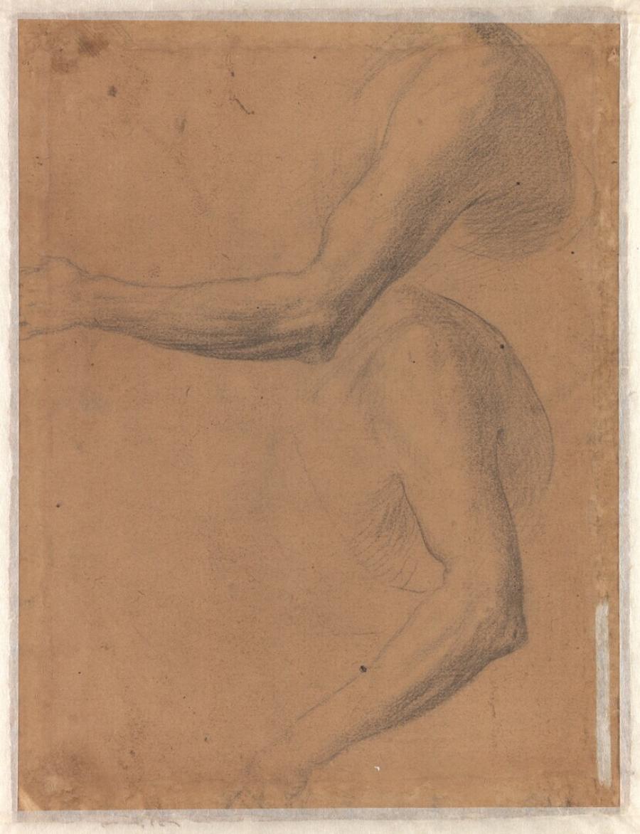 Twee studies van armen en schouders