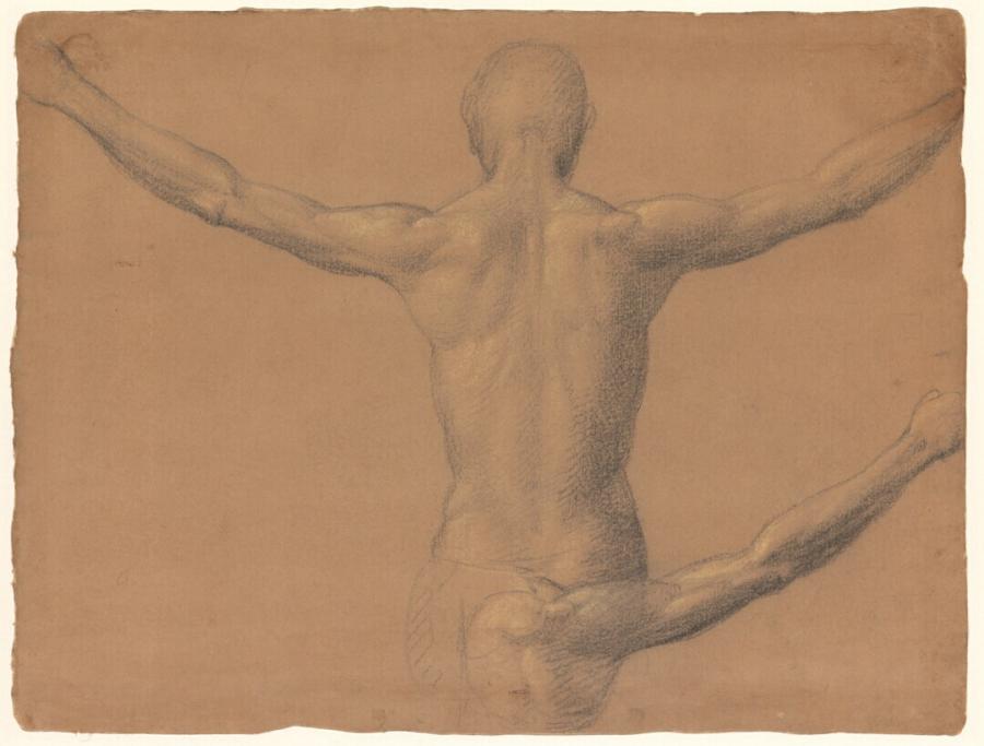 Two Studiesof the Nude Torso of a Man with the Arms Held Up, Seen from Behind