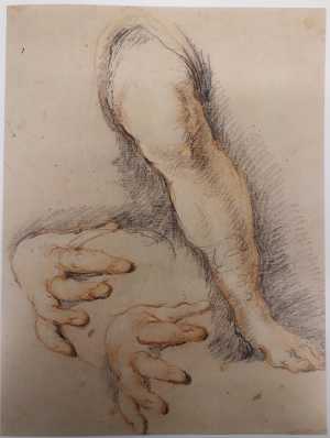 studies-van-een-linker-been-en-een-rechter-hand