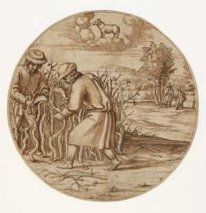 The Month March: Pruning the Grapevine