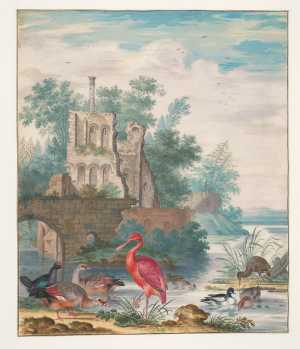 landschap-met-verschillende-watervogels-bij-een-ruine