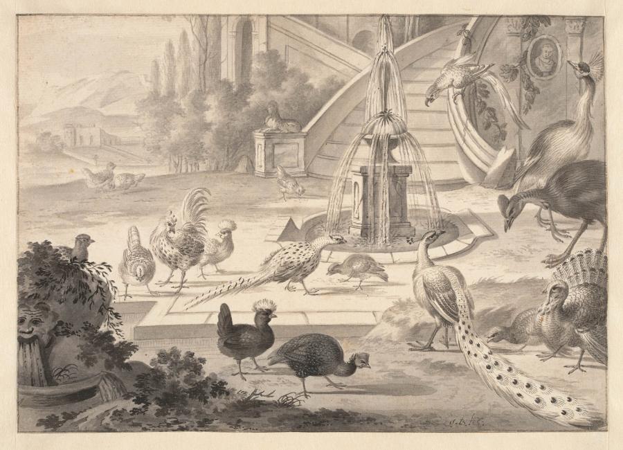 Birds in a Castle Square with a Fountain