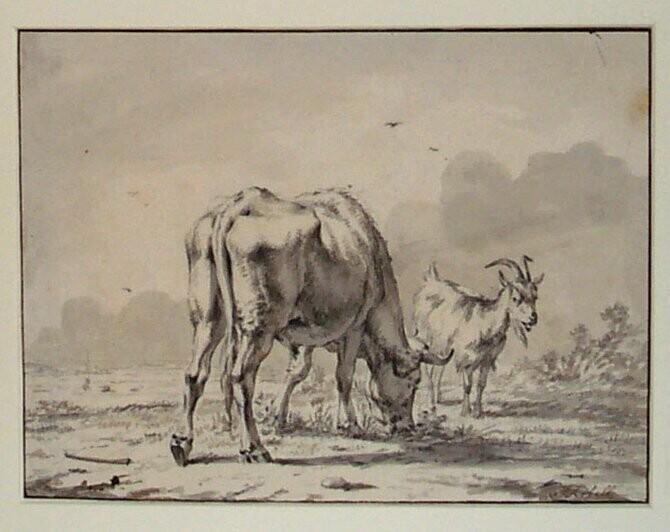 Een weide met een grazende stier en een geit