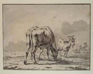 een-weide-met-een-grazende-stier-en-een-geit