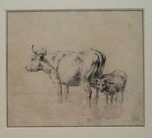 koe-en-een-schaap-staand-in-het-water