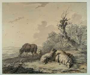 schapen-in-een-weiland-bij-een-wilg-en-een-hek