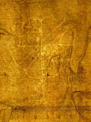 TMSFoto/PK/JMat 2 (PK)_2.jpg