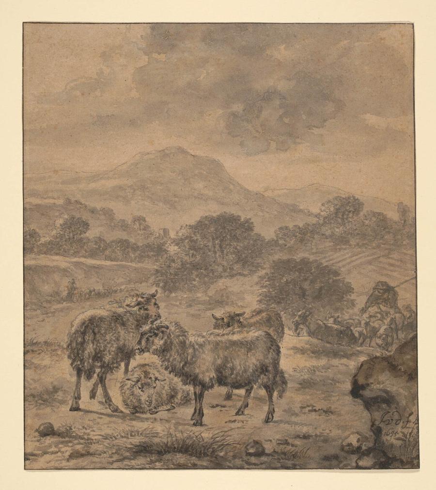 Landscape with Sheep