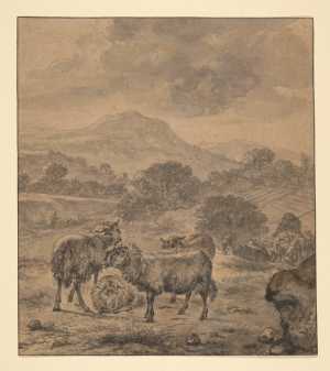 landscape-with-sheep