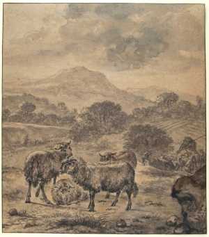 landschap-met-schapen