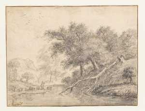 forest-landscape-with-a-fallen-tree-on-a-pool