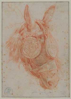 the-head-of-a-mule-with-harness