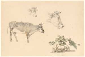studies-van-koeien-en-een-plant-mogelijk-vervaardigd-in-het-dorpje-beek-bij-nijmegen-in-de-provincie-gelderland