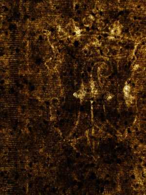 TMSFoto/PK/L 1951-T 23 (PK)_2.jpg