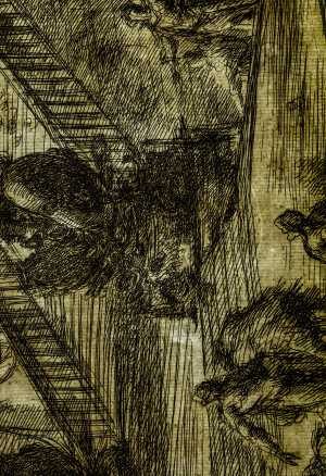 TMSFoto/PK/L 1952-19 (PK)_1.jpg