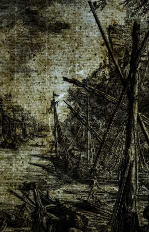 TMSFoto/PK/L 1955-8 (PK).jpg