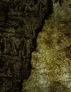 TMSFoto/PK/L 1956-54 (PK).jpg