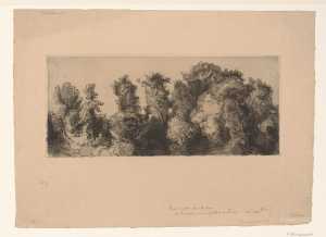 treetops-in-park-at-sevres