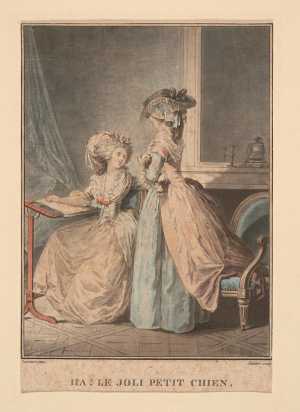 ha-le-joli-petit-chien